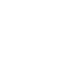 Spin Master